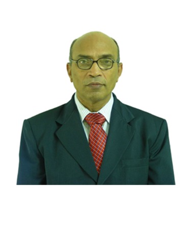 Mr. S Ravishankar